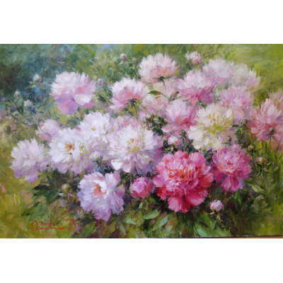 Розовые пионы (60 х 80)