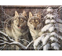 Разбойники. Данчурова Т.