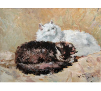 Кошечки